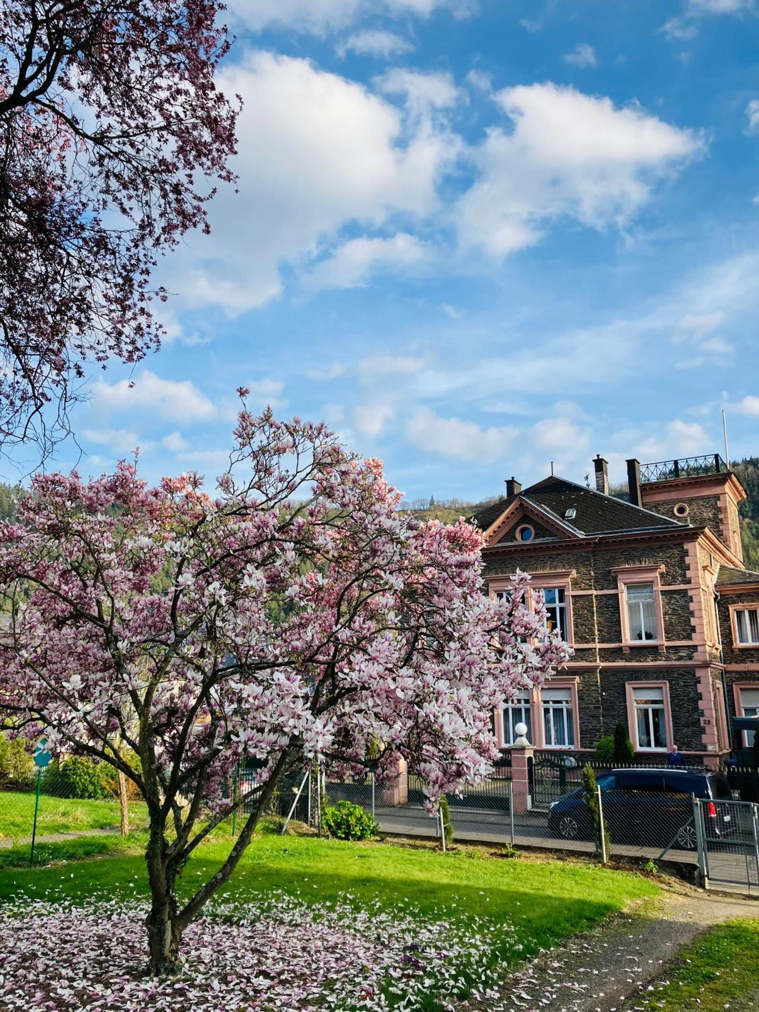 Neu - Ferienwohnungen Im Winzergarten Traben-Trarbach Exterior foto
